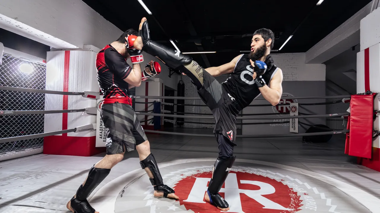 MMA Shin Guards — custom OEM and private-label manufacturing by Rainwolf Sports