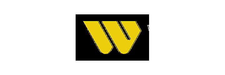 Western Union money transfer payment method logo